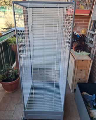 voliera per uccelli 2024