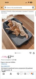 cuccia gigante per cani