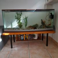 Acquario completo