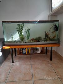 Acquario completo