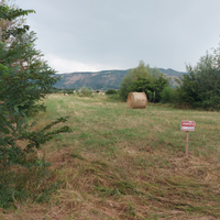 Terreno agricolo Ferentino