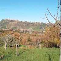 TER. AGRICOLO A CASTROLIBERO
