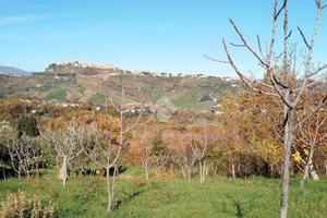 TER. AGRICOLO A CASTROLIBERO