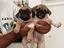 Immagine 1