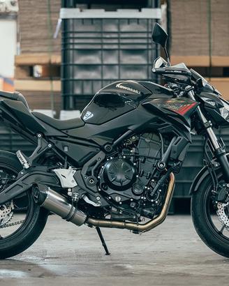 Doublefire Titanium Kawasaki Versys 650 2017-