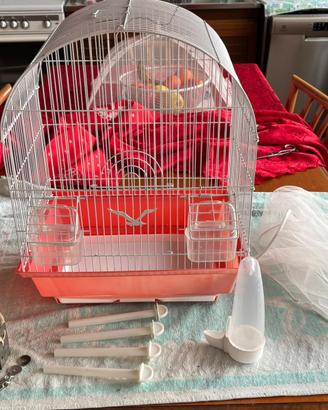 Gabbia per canarino o piccolo uccello