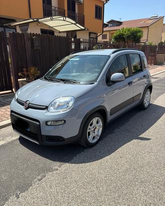 Fiat panda hybrid city life