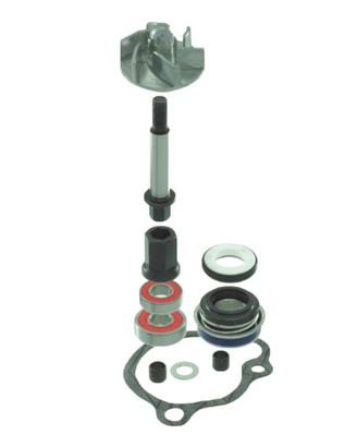 Kit revisione pompa acqua Kymco B&W Super9