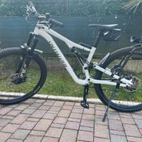 Specialized Stumpjumper Alloy LTD 2024 – S4 (L)