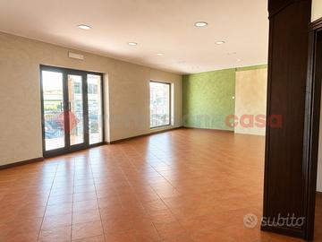 Negozio Anagni [Cod. rif 3330472ACG]