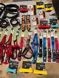 Collari e guinzagli set