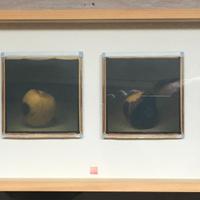 6 Polaroid -  Tipo 600 - stenopeiche anno 2002