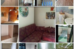 Vieste Villa 100 metri luglio e agosto 3444617549