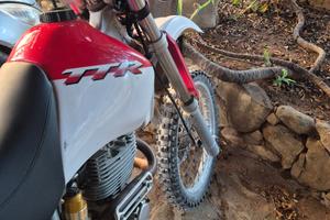 TTR 600 storica