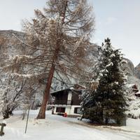 Vivi le Olimpiadi Milano Cortina 2026 in Fiemme