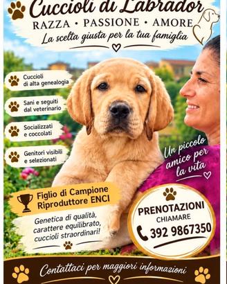 Labrador