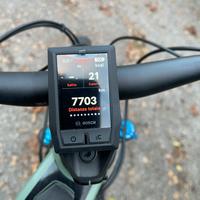 Ebike Focus
