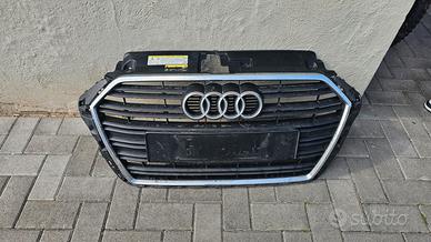 Griglia audi a3 8v 2019