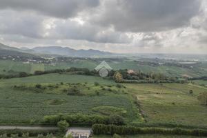 TER. AGRICOLO A CERVETERI