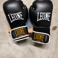 Guantioni box parastinchi kick box