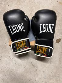 Guantioni box parastinchi kick box