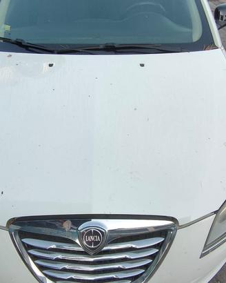 LANCIA DELTA 2010 COFANO ANTERIORE