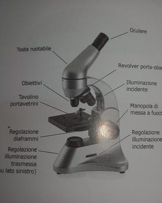 Microscopio Heyford XSP-45