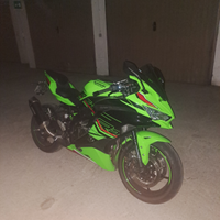 Kawasaki Ninja ZX 4 RR