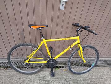Mountain bike con cambio Shimano