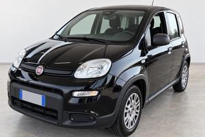 FIAT Pandina 1.0 FireFly 69 CV Hybrid Icon
