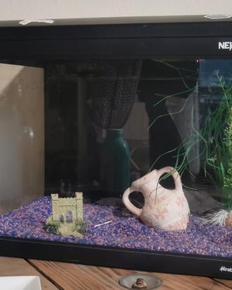 acquario NEWA
