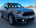 mini-one-d-countryman-1-5-business