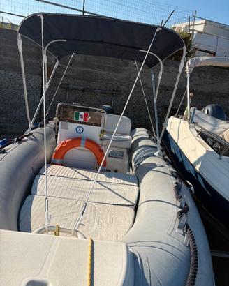 Bat Grifo 6 con Motore 40 cv. - SENZA PATENTE