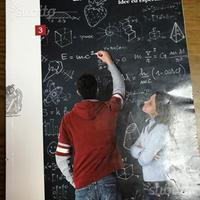 La fisica di Amaldi