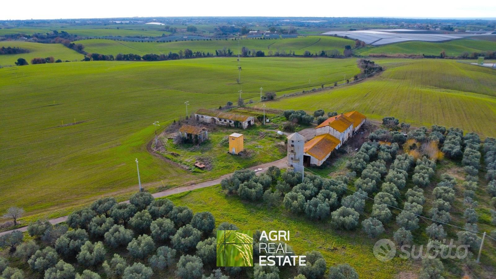 Terreno agricolo di 48 HA con casale e fabbricati - Vista 3