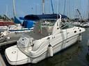 sea-ray-315-sundancer-possibile-permuta