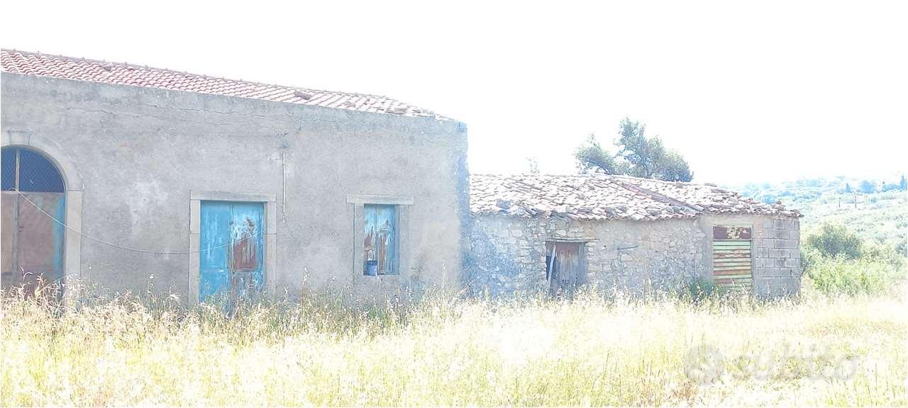 Terreno con Ulivi produttivi e antico Palmento - Vista 2