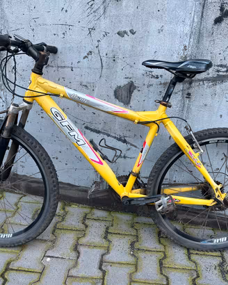 Mountain bike GFM 26