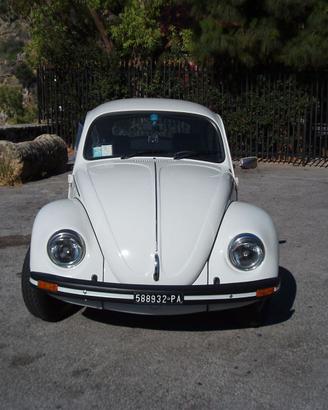 Volkswagen Maggiolino vetro piatto mod.1979