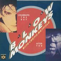 The blow monkeys - (celebrate) the day.12''