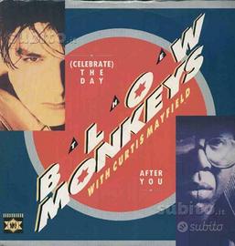 The blow monkeys - (celebrate) the day.12''