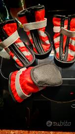 Scarpette per Cani Nuove 