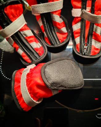 Scarpette per Cani Nuove 