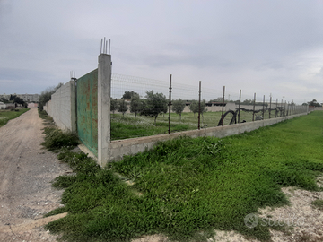 Pitz'e Serra 554 terreno recintato