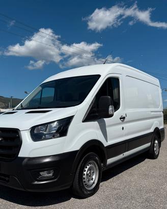 Ford Transit 290 2.0TDCi Eco Blue PM-TM Furgone PR
