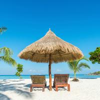 Direzione tecnica agenzia di viaggi Marche