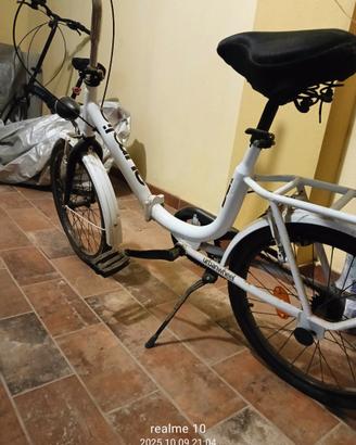 Due splendide biciclette