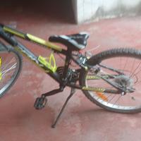 bici 24 pollici