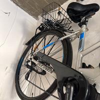 Atala cute bici donna