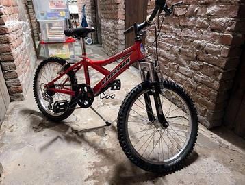 bici mountain bike silver star bambino bambina